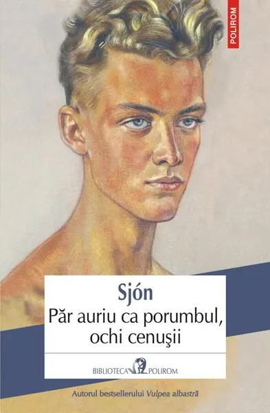 Păr auriu ca porumbul, ochi cenușii - Paperback brosat - Sjón
