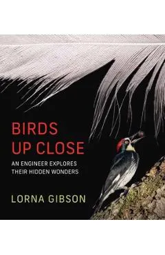 Birds Up Close: An Engineer Explores Their Hidden Wonders