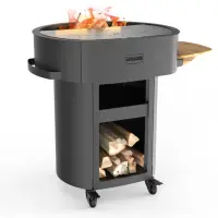 BBQ Plancha Grill Guru