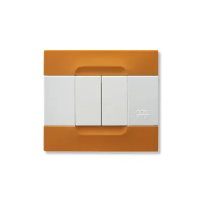 nea - Kadra bicolora rama ornamentala 2 mod tecnopolimero (plastic) seria Alb Portocaliu San Francisco