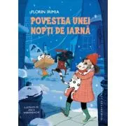 Povestea unei nopti de iarna