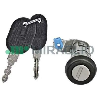 Set blocare potrivit IVECO DAILY 1999-2014 - usa fata/spate stanga/dreapta , usa culisanta