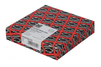 Set Segmenti Piston (100 Std 3-2,55-5) Potrivit Fendt 2 D Farmer, 200 K Farmer, 200 S Farmer, 200 sa Farmer, 200 V Farmer, 200 Va Farmer, 201 S Farmer, 201 sa Farmer, 203 K Farmer, 203 P Farmer