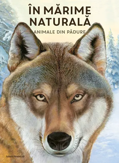 ÎN MARIME NATURALĂ. Animale din pădure (ediție hardcover)