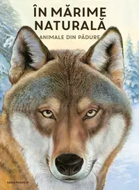 ÎN MARIME NATURALĂ. Animale din pădure (ediție hardcover)