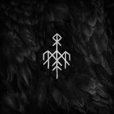 Kvitravn