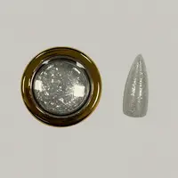 Pigment Unghii Nailsup Mirror Shine Argintiu