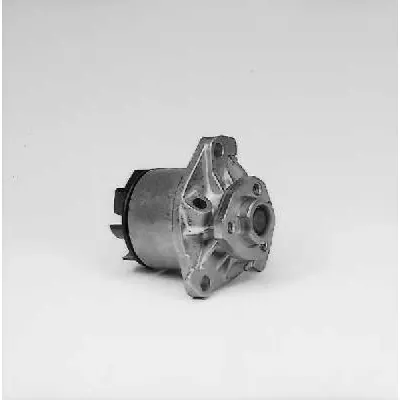 Pompa apa HEPU P524