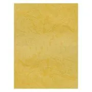 Coperta indosariere A4 CNX, carton imitatie piele, ocru, 230g/mp, top 100 coli