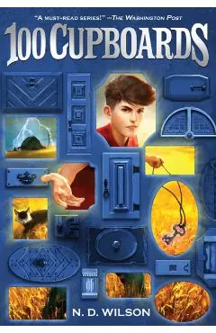 100 Cupboards (100 Cupboards Book 1)