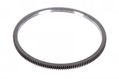 Coroana volanta 167buc; diametru460mm; inaltime 22mm potrivit DAF CF, CF 85, XF 105, XF 95 1DB2022-1NA06-XF355M 01.01