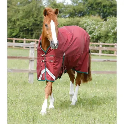 Pătură exterioară pentru cai Premier Equine Titan 100 g