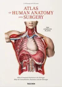 Bourgery. Atlas of Human Anatomy and Surgery