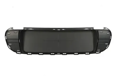 Suport numar circulatie Spate potrivit MINI COUNTRYMAN (R60) 2010-2016 2010-2017 - (crom LINE)