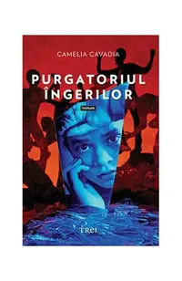 Purgatoriul îngerilor - Paperback brosat - Camelia Cavadia