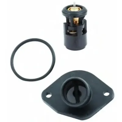 Termostat, lichid racire MEAT DORIA 92480K