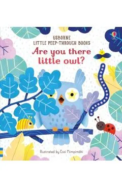 Are You There Little Owl?