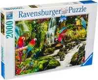 Puzzle Ravensburger din 2000 de piese - Papagali in jungla