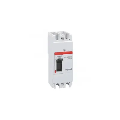 MCCB - DRX 125 - thermal magnetic - Icu 36 kA - 415 V~ - 2P - 100 A