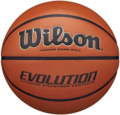 Minge de baschet Wilson - Evolution, mărimea 7, maro