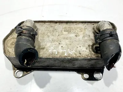 Radiator ulei / termoflot 02E409061B Volkswagen Golf 5 (2004-2009) 2.0 tdi