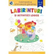 Labirinturi si activitati logice. Coloreaza si stimuleaza gandirea