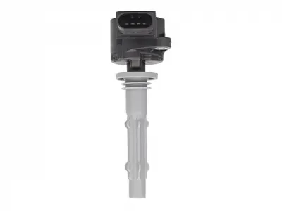 Bobina Inductie Potrivit Mercedes C (cl203), C T-Model (s203), C T-Model (s204), C (w203), C (w204), Clc (cl203), Clk (a209), Clk (c209), Cls (c219), E (a207), E (c207) 2.5-5.5 06.04