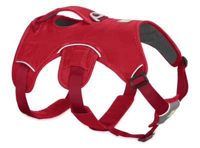 Ham multifunctional, rosu currant, confortabil, cu 5 puncte de ajustare, circumferinta piept 33-43 cm