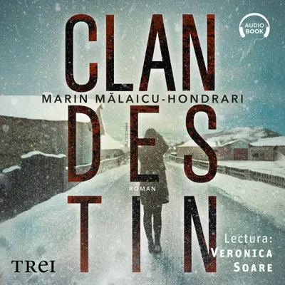 Clandestin - Audiobook