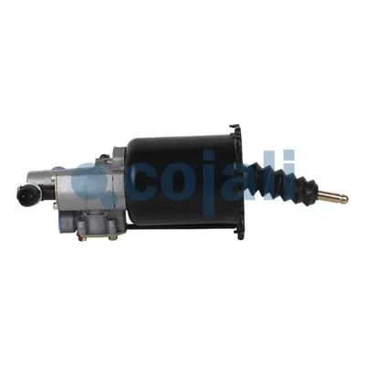 Cojali 2250291
