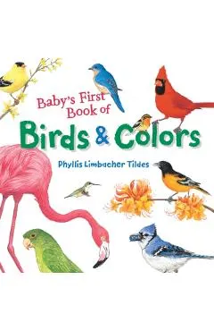 Baby's First Book of Birds & Colors
