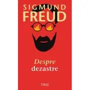 Despre dezastre