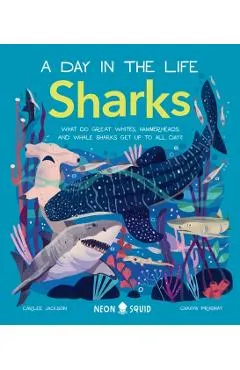 Sharks (a Day in the Life): What Do Great Whites, Hammerheads, and Whale Sharks Get Up to All Day?