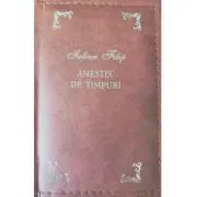 Amestec de timpuri
