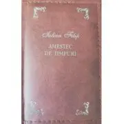 Amestec de timpuri