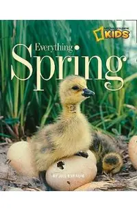 Everything Spring