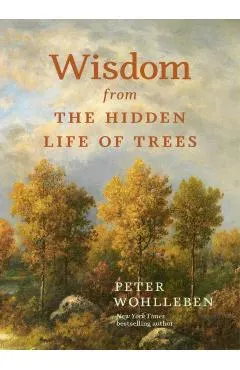 Wisdom from the Hidden Life of Trees