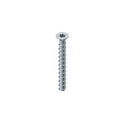 Ancora cu surub cu cap inecat si antrenare Torx T20 NSA 5X40/SK-T20 V