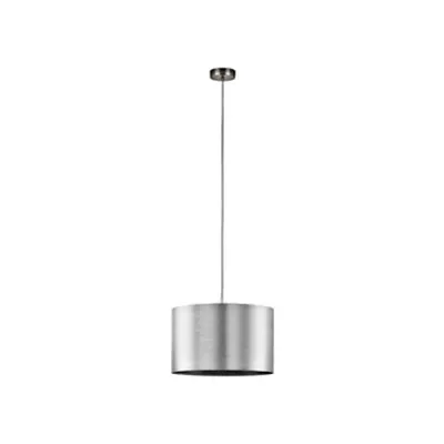 Pendant luminaire Saganto Pro 60W nickel-matt/silver IP20
