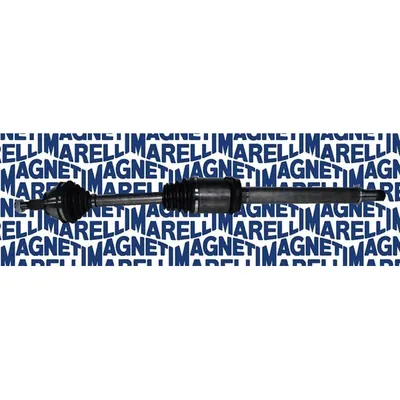 Planetara MAGNETI MARELLI 302004190074