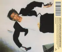 Lodger
