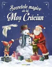 Secretele magice ale lui Moș Crăciun - Hardcover - Emmanuelle Lepetit