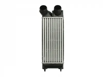 Intercooler Citroen Berlingo, C4, C4 I; Peugeot 3008, 308 I, 308 Sw I, 5008, Partner Tepee 1.6d Dupa 2004