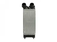 Intercooler Citroen Berlingo, C4, C4 I; Peugeot 3008, 308 I, 308 Sw I, 5008, Partner Tepee 1.6d Dupa 2004