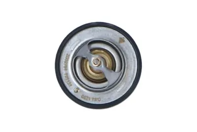 Termostat lichid racire (76 C) potrivit MITSUBISHI L 300 III; NISSAN CABSTAR E, NAVARA, PICK UP 2.5D 3.0D 12.87-10.06