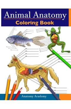 Animal Anatomy Coloring Book: Incredibly Detailed Self-Test Veterinary Anatomy Color workbook Perfect Gift for Vet Students & Animal Lovers