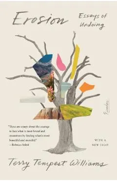 Erosion: Essays of Undoing