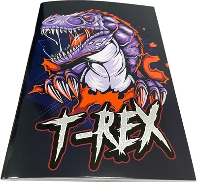 Caiet Back Me Up - Game/T-Rex, B5, 40 foi, sortiment