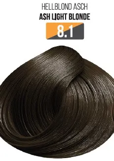 Vopsea Profesionala Fara Amoniac EVOQUE USA, Nuanta 8.1 ASH LIGHT BLONDE - Cu Ulei de Argan si 12 Aminoacizi, 100 ml - Evoque