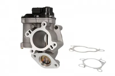 Supapa Egr Potrivit Nissan Primastar, Qashqai I, X-Trail Ii; Opel Vivaro A; Renault Espace Iv, Grand Scenic Ii, Koleos I, Laguna, Laguna Ii, Laguna Iii, Megane Ii, Scenic Ii 2.0d 08.05